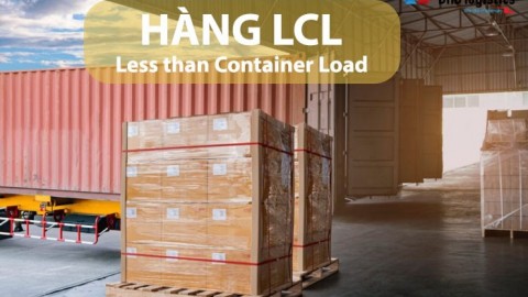 Dịch Vụ  Gom Hàng Lẻ ( LCL )