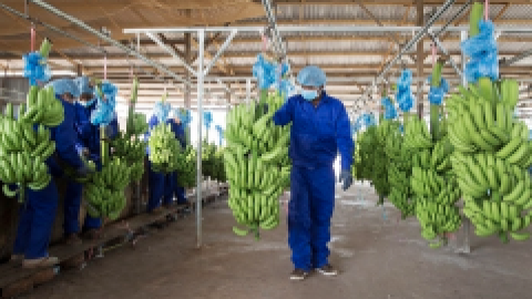 Sếp Hoàng Anh Gia Lai muốn bán hơn 900 tỷ đồng cổ phiếu HNG